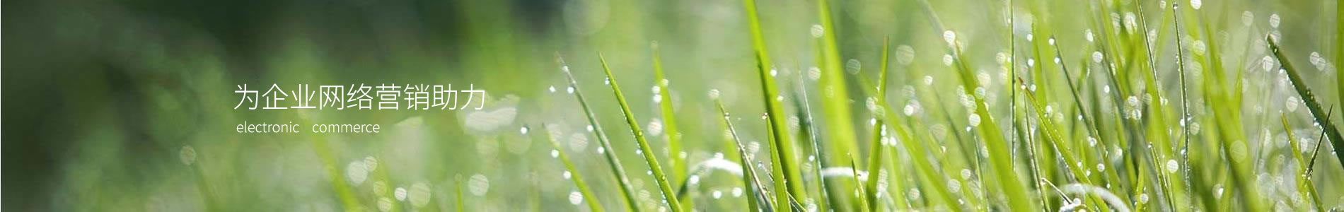 ³ƷеƼ޹˾